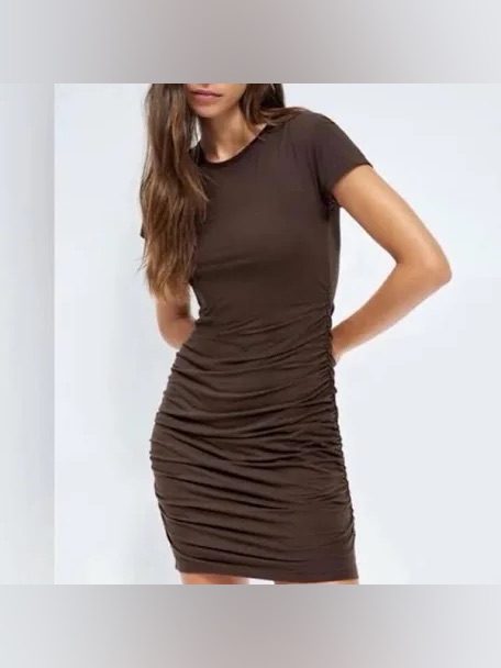 Aritzia Babaton Brown Ruched Short Sleeve Mini Dress